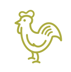 Real U.S. farm-raised chicken is the #1 ingredient