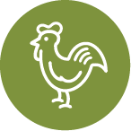 U.S. farm-raised chicken is the #1 ingredient