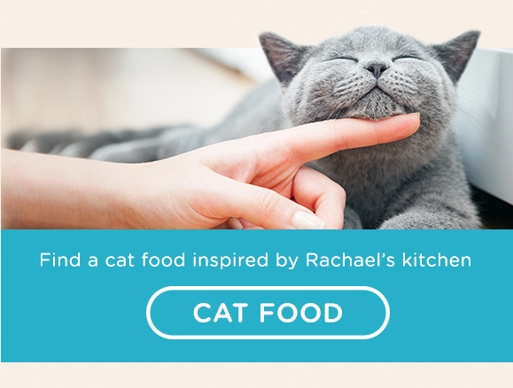 Find a food as amazing as your cat thinks you are.