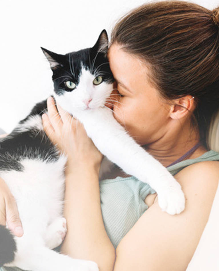 Pet your cat. Hug your Cat Day. Cats hugging. Adopting a Cat. Kitten hugs hand.