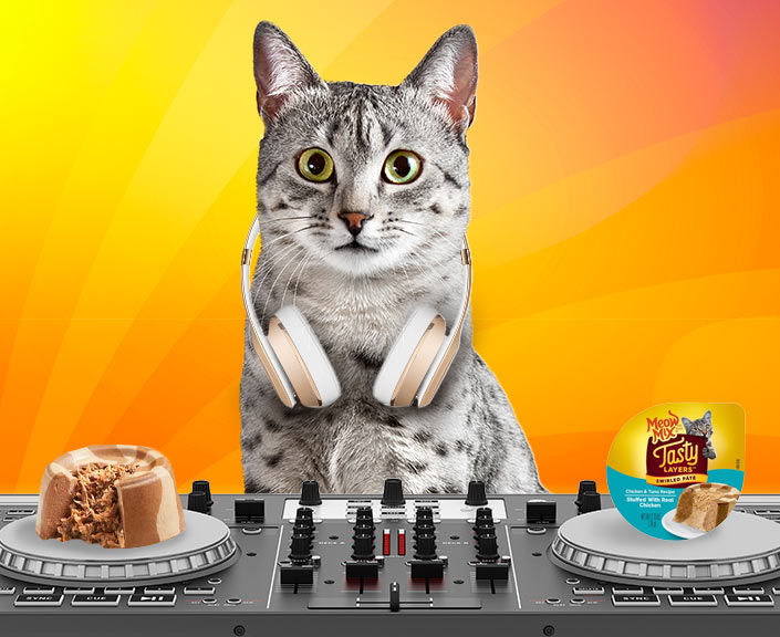 DJ kitty  MEOW hear this!