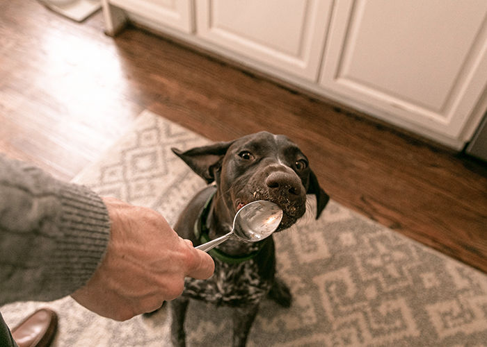 Why Do Dogs Like Peanut Butter? | Milk-Bone®