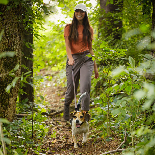 Wet vs. Dry Dog Food | Nature's Recipe