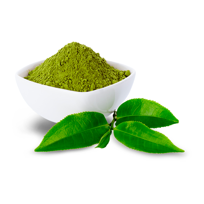 green-tea-extract